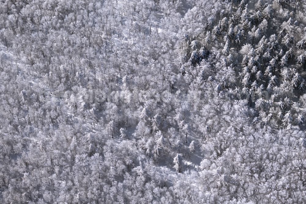 Aerial photograph Burkardroth - Wintry snowy treetops in a forest area in Burkardroth in the state Bavaria, Germany