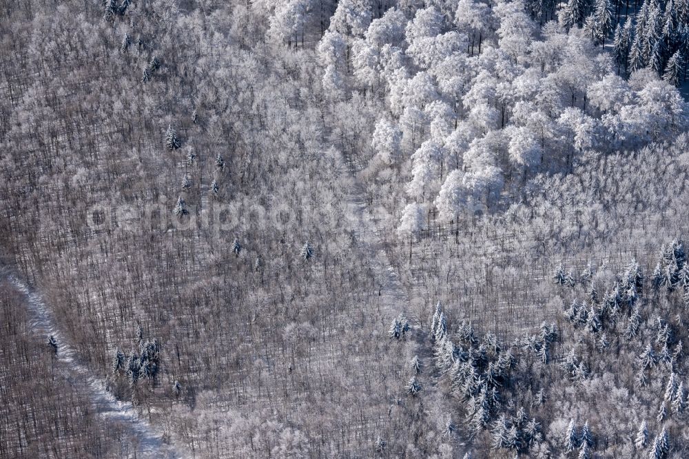 Aerial image Burkardroth - Wintry snowy treetops in a forest area in Burkardroth in the state Bavaria, Germany