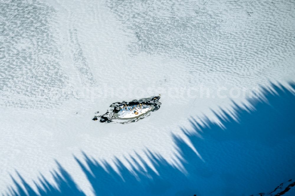 Schluchsee from the bird's eye view: Wintry snowy lake Island on the zugefrorenen Schluchsee in Schluchsee in the state Baden-Wurttemberg, Germany