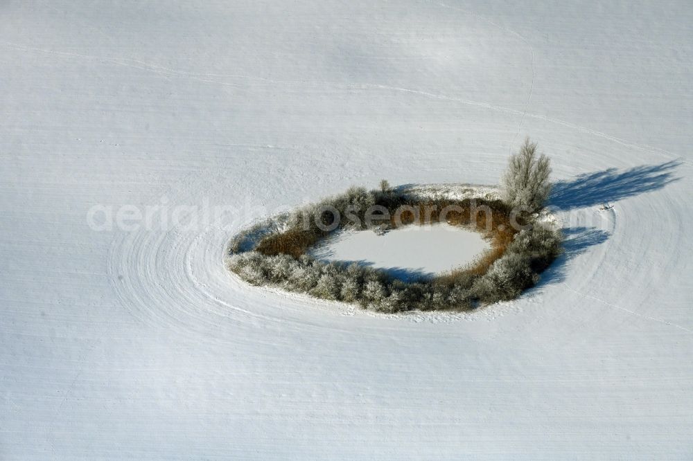 Aerial photograph Rehberg - Wintry snowy field edge of a target biotope in the field surface in Rehberg in the state Mecklenburg - Western Pomerania, Germany