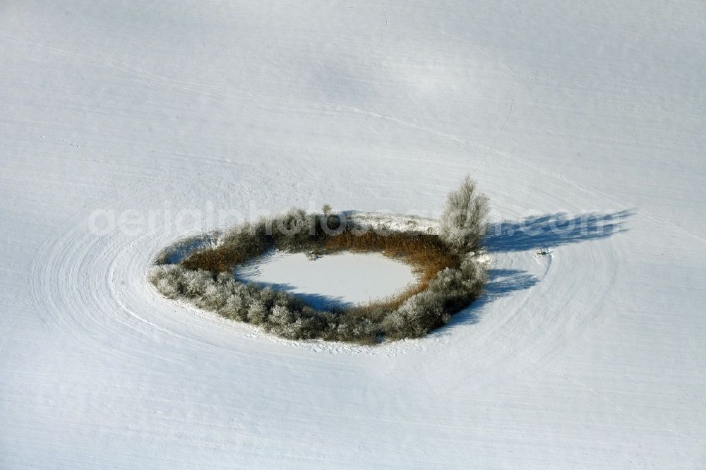 Rehberg from above - Wintry snowy field edge of a target biotope in the field surface in Rehberg in the state Mecklenburg - Western Pomerania, Germany