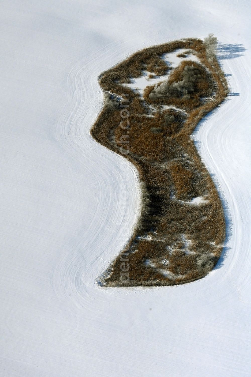 Rehberg from the bird's eye view: Wintry snowy field edge of a target biotope in the field surface in Rehberg in the state Mecklenburg - Western Pomerania, Germany