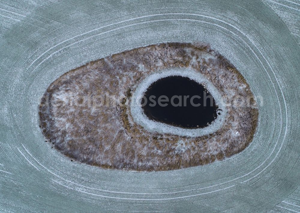 Aerial image Sieversdorf - Wintry snowy field edge of a target biotope in the field surface in Sieversdorf in the state Brandenburg, Germany