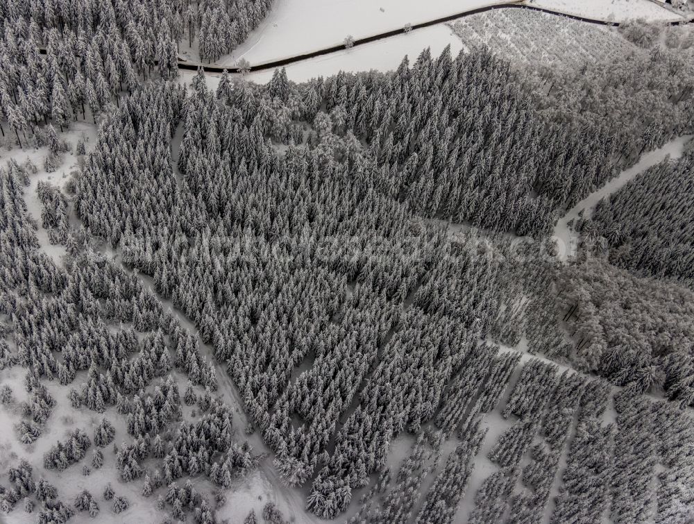 Winterberg from the bird's eye view: Wintry snowy street - road guidance Rothaarsteig in Winterberg at Sauerland in the state North Rhine-Westphalia, Germany