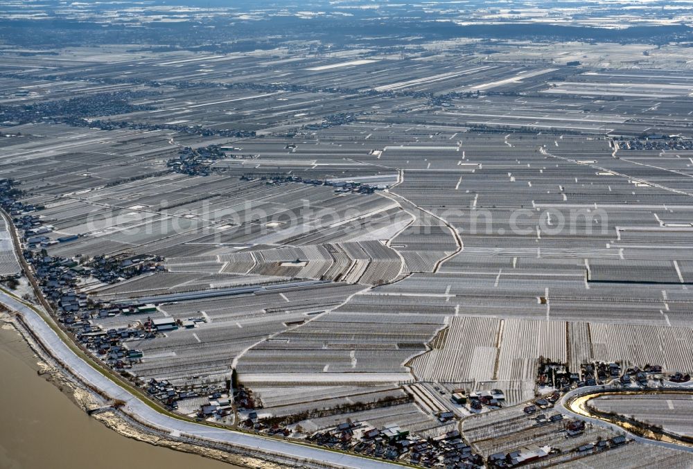 Grünendeich from the bird's eye view: Wintry snowy structures on agricultural fields in Gruenendeich in the state Lower Saxony, Germany