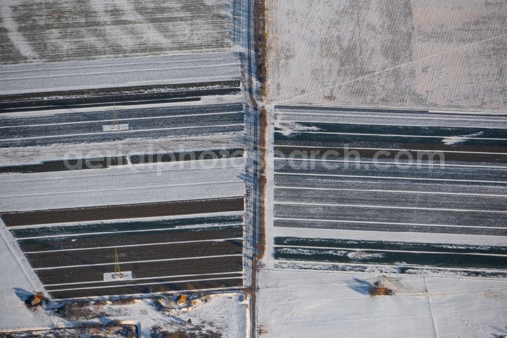 Aerial image Niederlangen - Wintry snowy structures on agricultural fields in Niederlangen in the state Lower Saxony, Germany