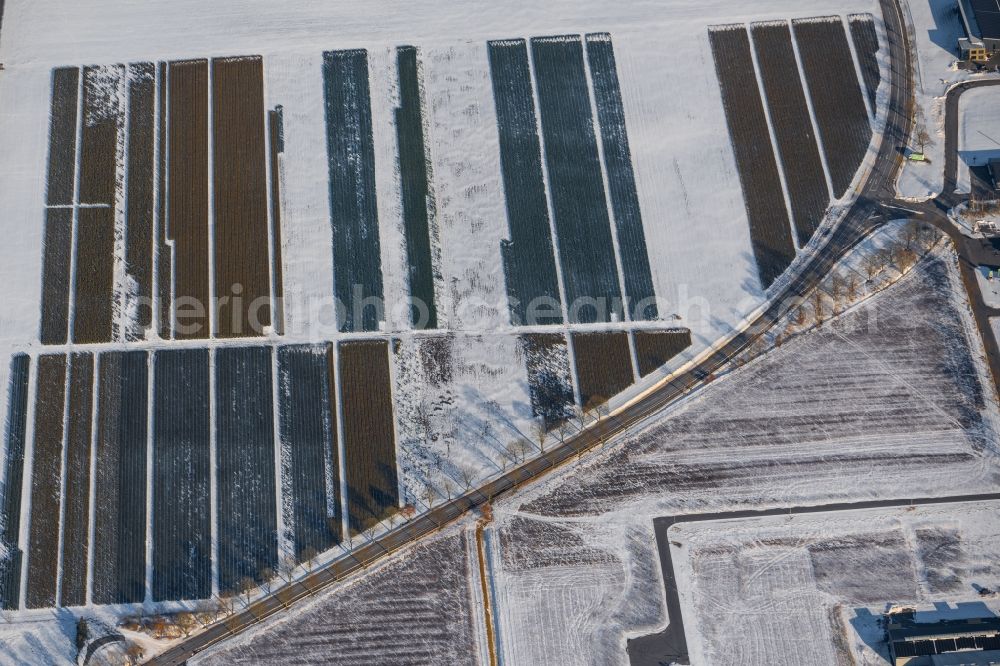 Aerial photograph Niederlangen - Wintry snowy structures on agricultural fields in Niederlangen in the state Lower Saxony, Germany