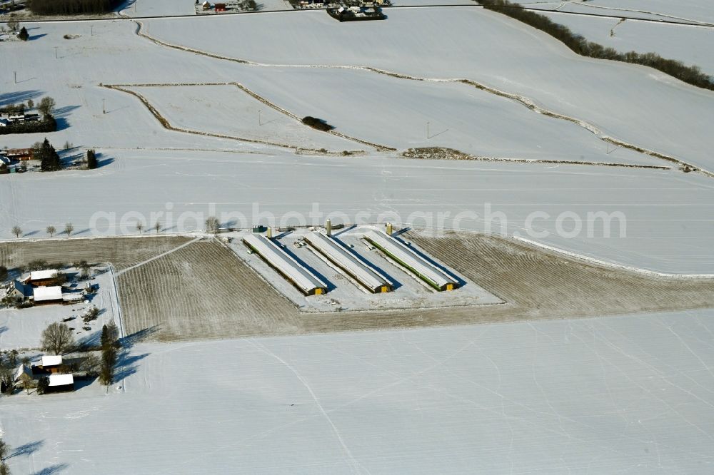 Aerial image Bartmannshagen - Wintry snowy animal breeding equipment Livestock breeding for meat production in Bartmannshagen in the state Mecklenburg - Western Pomerania, Germany