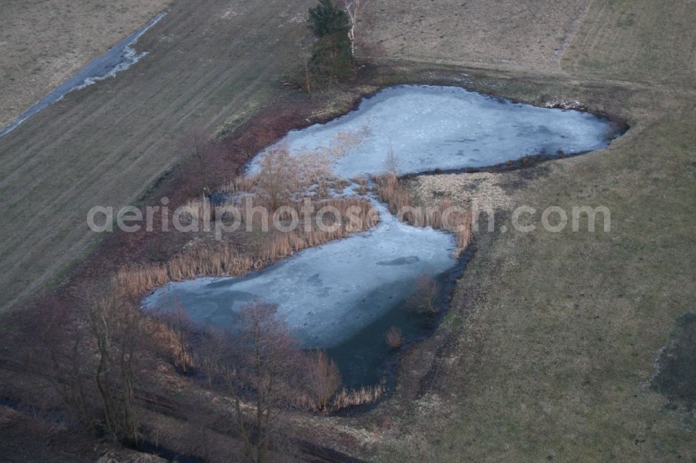 Aerial image Minfeld - Wintry snowy Ponds and Morast- water surface in a pond landscape in Minfeld in the state Rhineland-Palatinate