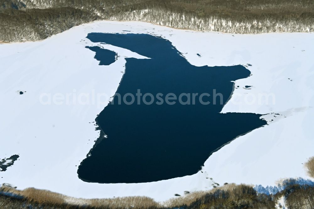 Feldberg from above - Wintry snowy riparian areas on the lake area of Breiter Luzin in Feldberg in the state Mecklenburg - Western Pomerania, Germany