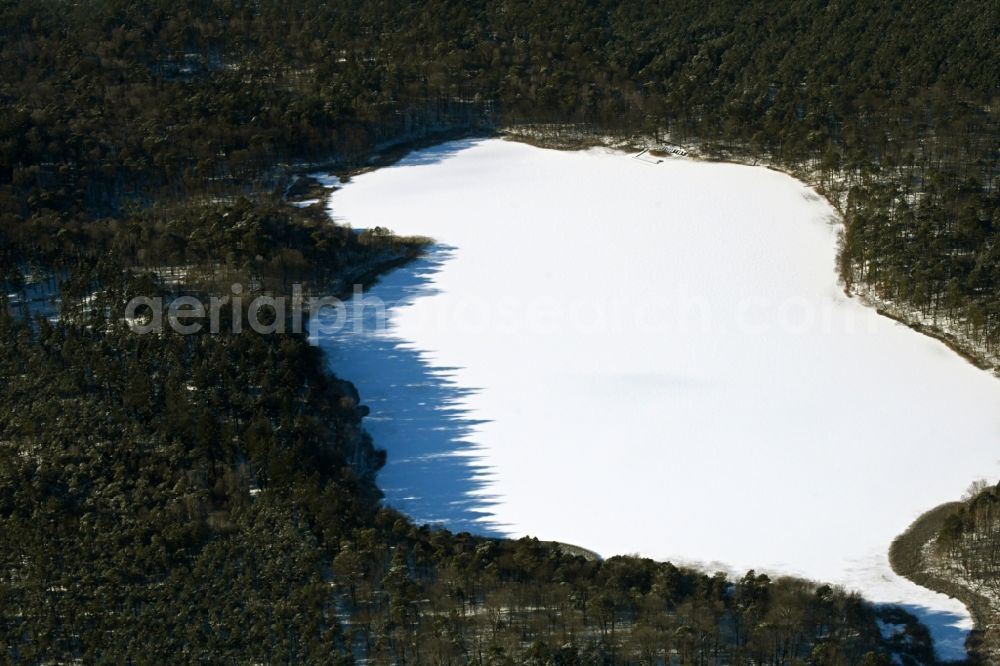 Biesenthal from above - Wintry snowy riparian areas on the lake area of Bukowsee in a forest area in Biesenthal in the state Brandenburg, Germany