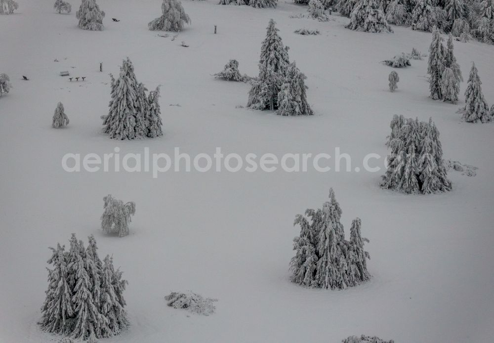 Winterberg from above - Wintry snowy treetops in a wooded area on Kahlen Asten in Winterberg at Sauerland in the state North Rhine-Westphalia, Germany