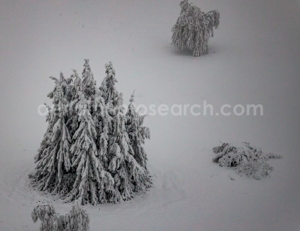Winterberg from the bird's eye view: Wintry snowy treetops in a wooded area on Kahlen Asten in Winterberg at Sauerland in the state North Rhine-Westphalia, Germany