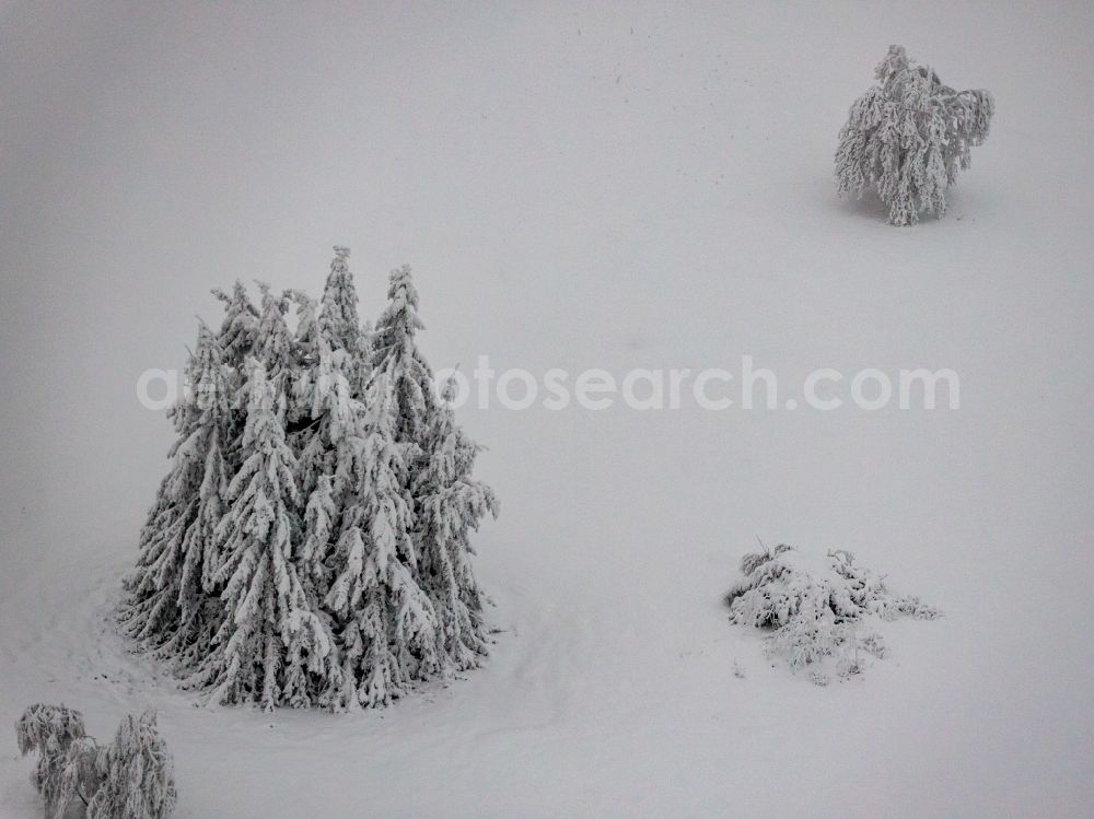 Aerial image Winterberg - Wintry snowy treetops in a wooded area on Kahlen Asten in Winterberg at Sauerland in the state North Rhine-Westphalia, Germany