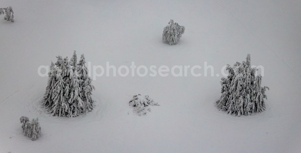 Aerial photograph Winterberg - Wintry snowy treetops in a wooded area on Kahlen Asten in Winterberg at Sauerland in the state North Rhine-Westphalia, Germany