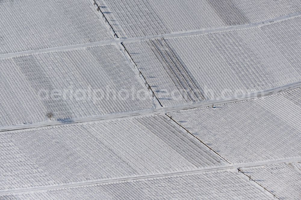 Aerial image Nordheim am Main - Wintry snowy fields of wine cultivation landscape in Nordheim am Main in the state Bavaria, Germany