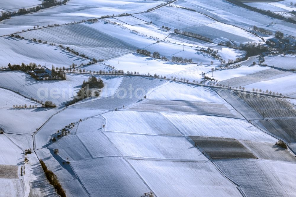 Zweiflingen from above - Wintry snowy fields of wine cultivation landscape in Zweiflingen in the state Baden-Wuerttemberg, Germany