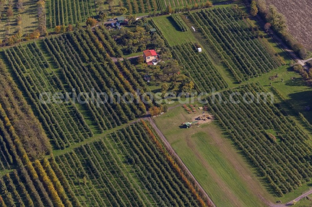 Aerial image Merzig - Winzer - Operating / wine with rows of vines in Merzig in Saarland