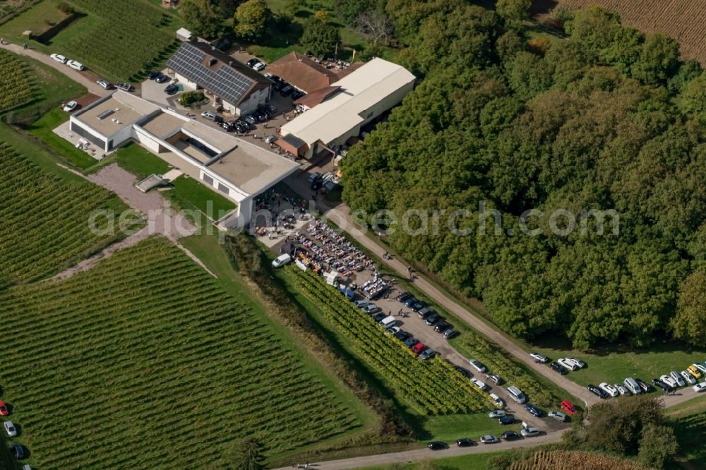 Aerial photograph Ettenheim - Fields of wine cultivation landscape in Ettenheim in the state Baden-Wuerttemberg, Germany