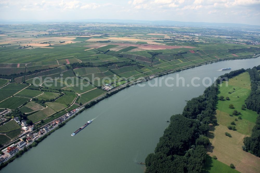 Nierstein from above - Vintners rows of vines in the vineyards on the slopes of the banks of the Rhine at Nierstein in Rhineland-Palatinate