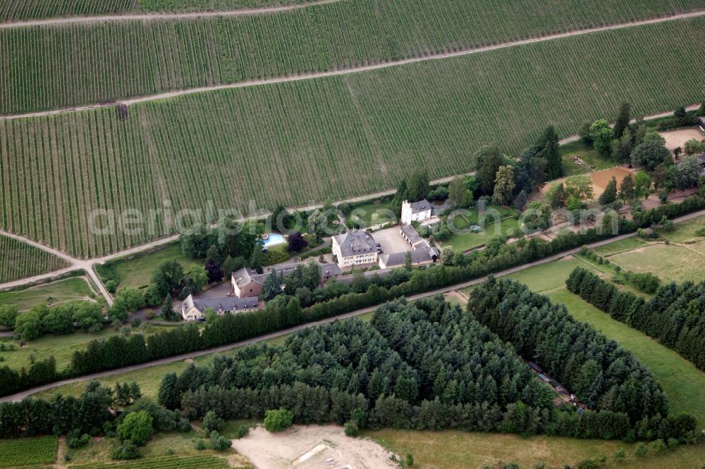 Trier Eitelsbach from above - Winery Bert instincts of the vineyards along the banks of the river Ruwer near Trier Eitelsbach in Rhineland-Palatinate