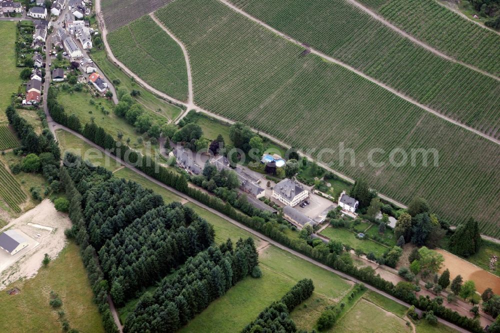 Trier Eitelsbach from the bird's eye view: Winery Bert instincts of the vineyards along the banks of the river Ruwer near Trier Eitelsbach in Rhineland-Palatinate