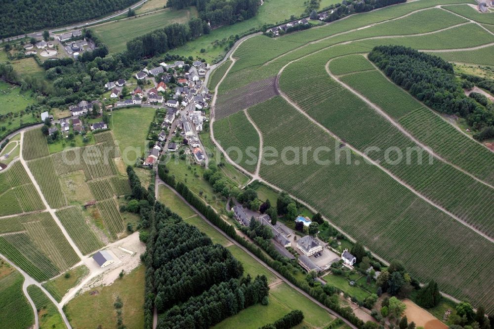 Aerial image Trier Eitelsbach - Winery Bert instincts of the vineyards along the banks of the river Ruwer near Trier Eitelsbach in Rhineland-Palatinate