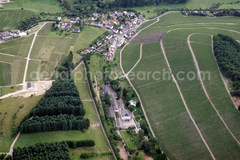 Aerial photograph Trier Eitelsbach - Winery Bert instincts of the vineyards along the banks of the river Ruwer near Trier Eitelsbach in Rhineland-Palatinate