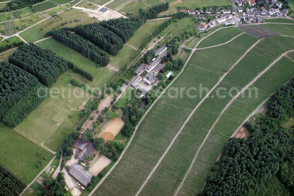 Trier Eitelsbach from above - Winery Bert instincts of the vineyards along the banks of the river Ruwer near Trier Eitelsbach in Rhineland-Palatinate