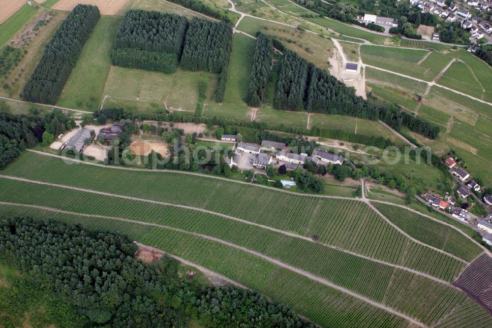 Aerial image Trier Eitelsbach - Winery Bert instincts of the vineyards along the banks of the river Ruwer near Trier Eitelsbach in Rhineland-Palatinate