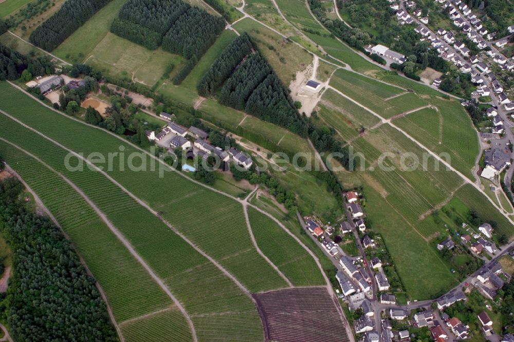 Aerial photograph Trier Eitelsbach - Winery Bert instincts of the vineyards along the banks of the river Ruwer near Trier Eitelsbach in Rhineland-Palatinate