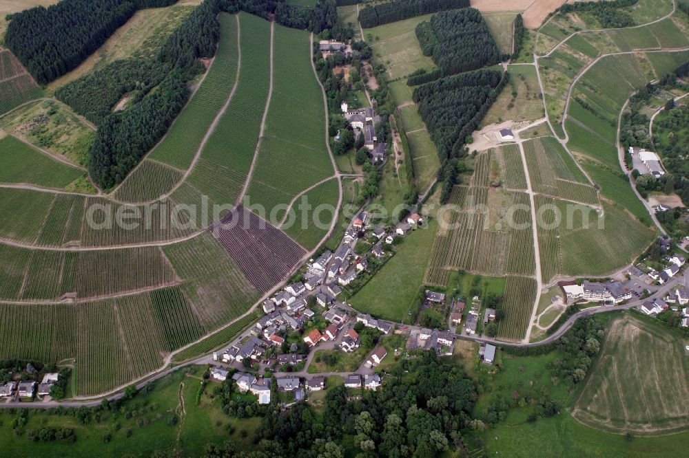 Trier Eitelsbach from above - Winery Bert instincts of the vineyards along the banks of the river Ruwer near Trier Eitelsbach in Rhineland-Palatinate