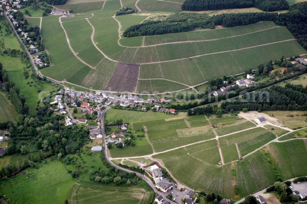 Trier Eitelsbach from the bird's eye view: Winery Bert instincts of the vineyards along the banks of the river Ruwer near Trier Eitelsbach in Rhineland-Palatinate