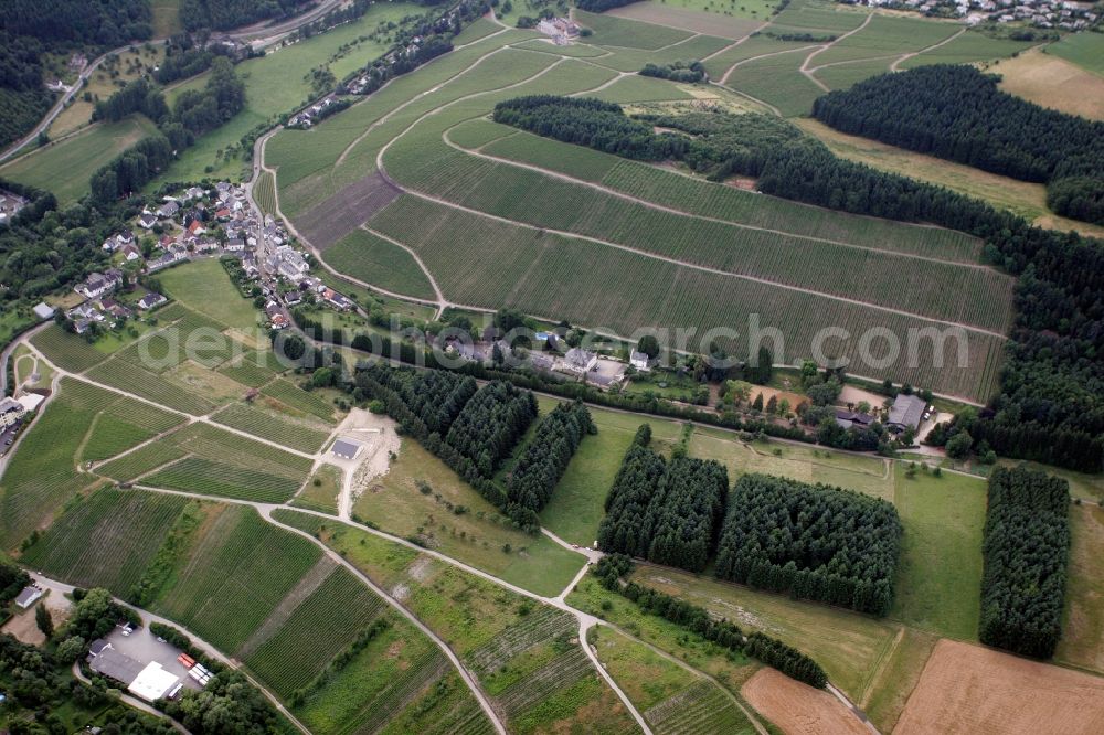 Aerial image Trier Eitelsbach - Winery Bert instincts of the vineyards along the banks of the river Ruwer near Trier Eitelsbach in Rhineland-Palatinate