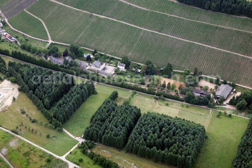 Aerial photograph Trier Eitelsbach - Winery Bert instincts of the vineyards along the banks of the river Ruwer near Trier Eitelsbach in Rhineland-Palatinate