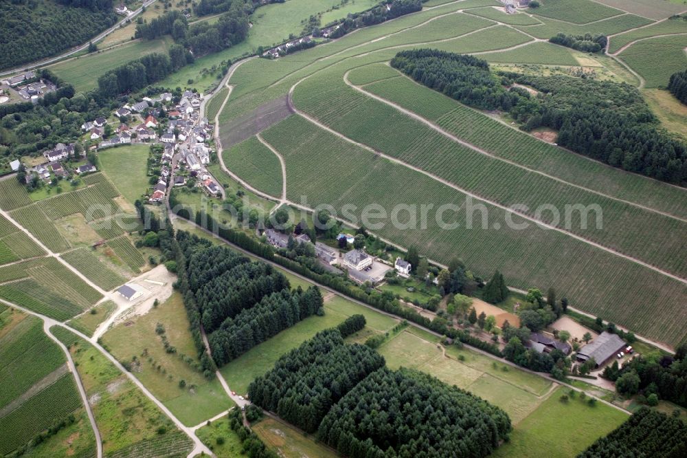 Trier Eitelsbach from above - Winery Bert instincts of the vineyards along the banks of the river Ruwer near Trier Eitelsbach in Rhineland-Palatinate