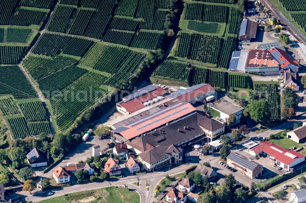 Aerial photograph Vogtsburg im Kaiserstuhl - Fields of wine cultivation landscape in Vogtsburg im Kaiserstuhl in the state Baden-Wurttemberg, Germany