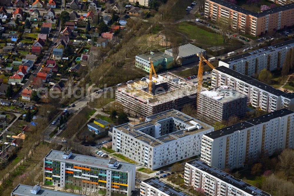 Aerial image Berlin - Residential and commercial building on Muehlengrund between Ruedickenstrasse, Rotkonp and Matenzeile in the district Hohenschoenhausen in Berlin, Germany