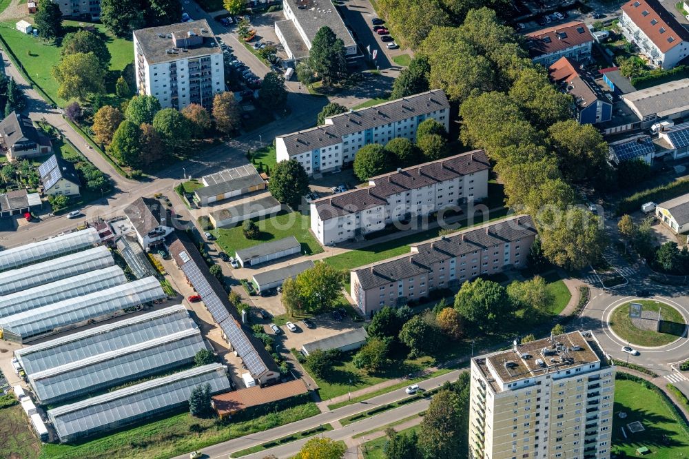 Aerial image Lahr/Schwarzwald - Residential and commercial building district along Dinglingen in Lahr/Schwarzwald in the state Baden-Wurttemberg, Germany