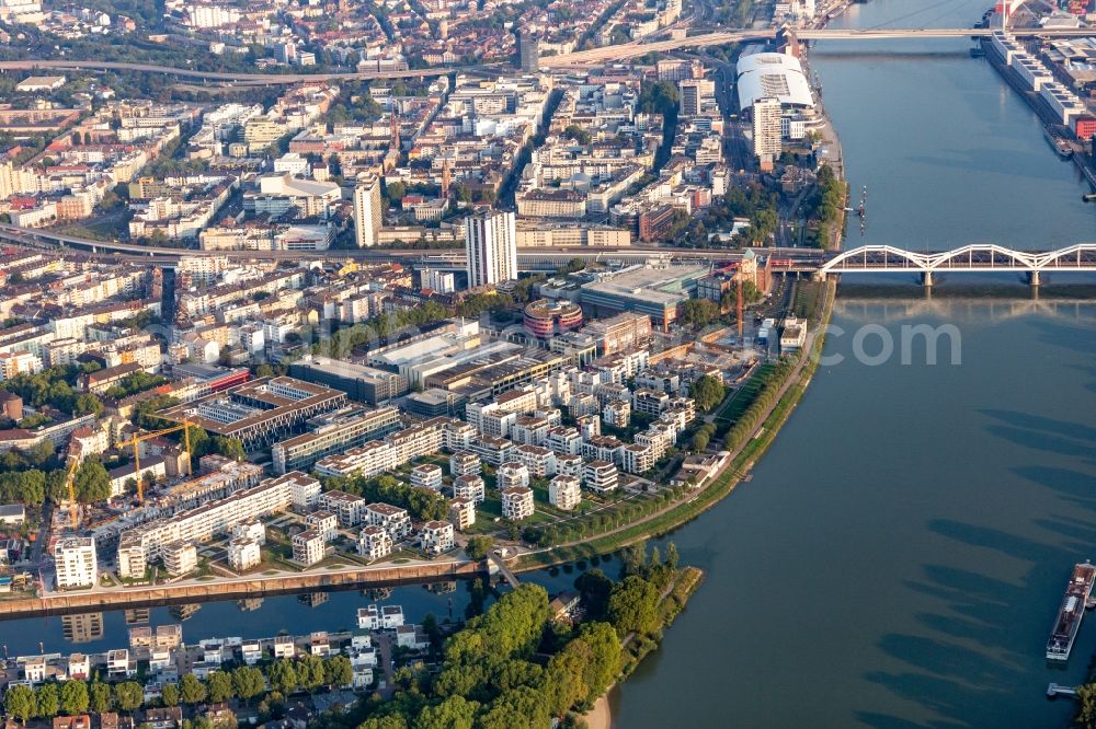 Aerial image Ludwigshafen am Rhein - Residential and commercial building in the development area on the quayside of the Rhein at the Rheinschanzenpromenade in Ludwigshafen am Rhein in the state Rhineland-Palatinate, Germany