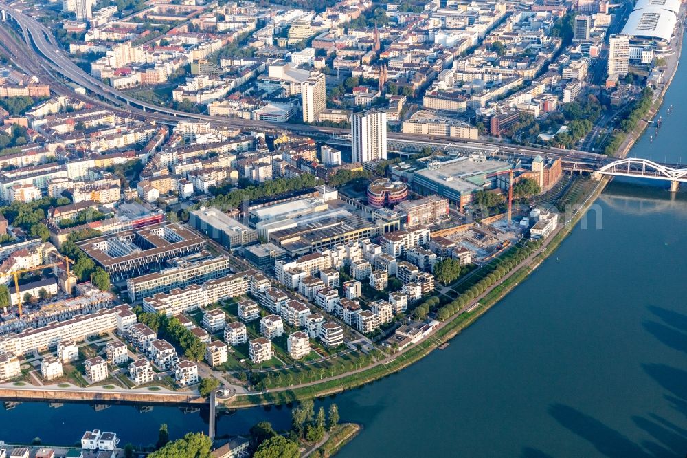 Ludwigshafen am Rhein from above - Residential and commercial building in the development area on the quayside of the Rhein at the Rheinschanzenpromenade in Ludwigshafen am Rhein in the state Rhineland-Palatinate, Germany