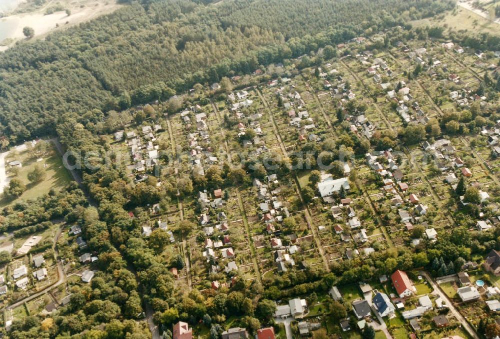 Berlin - Kaulsdorf / Mahlsdorf from above - Blick auf die Gartenanlage Kaulsdorfer Busch in Berlin-Kaulsdorf an der Grenze zu Mahlsdorf. View of the allotment garden area Kaulsdorfer Busch in the district Kaulsdorf.