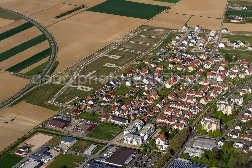 Aerial image Endingen am Kaiserstuhl - Single-family residential area of settlement Andlaustrasse - Luisenstrasse - Einsiedelnstrasse in Endingen am Kaiserstuhl in the state Baden-Wuerttemberg