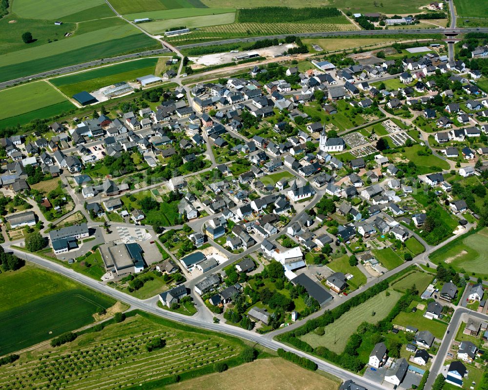 Aerial photograph Argenthal - Single-family residential area of settlement in Argenthal in the state Rhineland-Palatinate, Germany