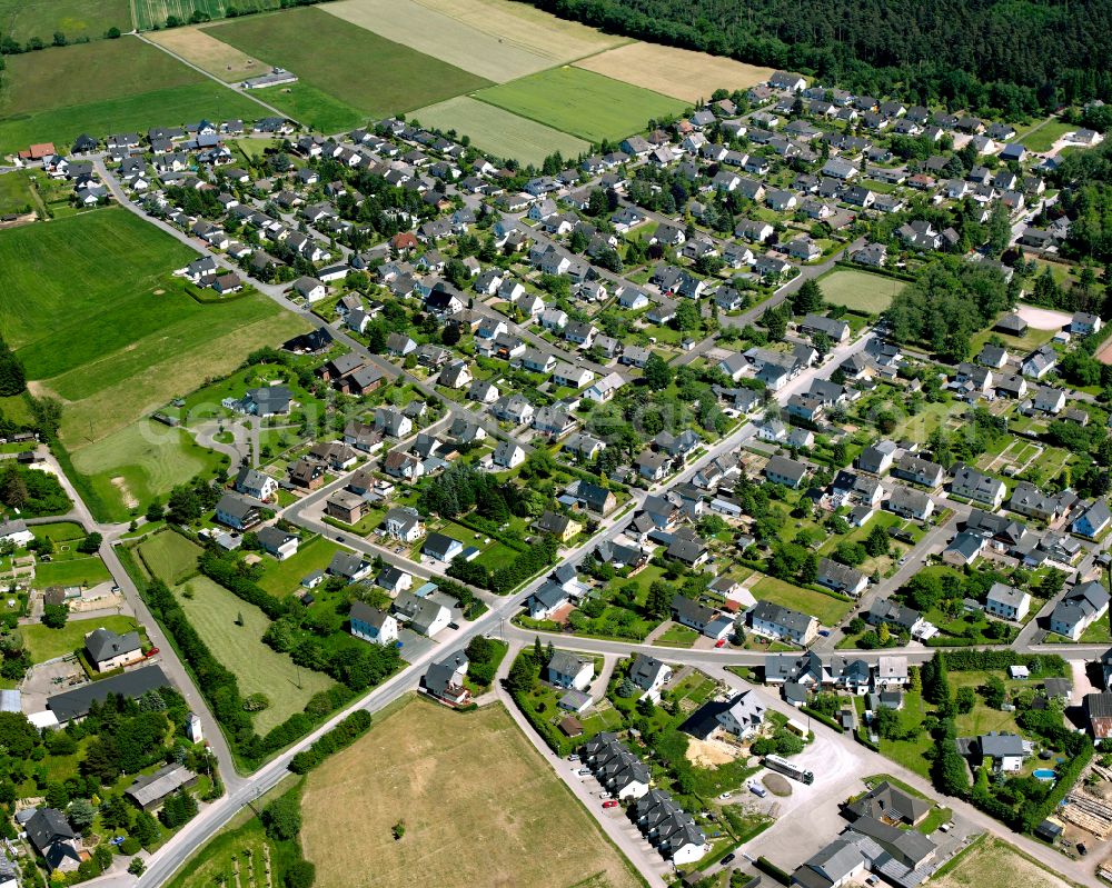 Aerial image Argenthal - Single-family residential area of settlement in Argenthal in the state Rhineland-Palatinate, Germany