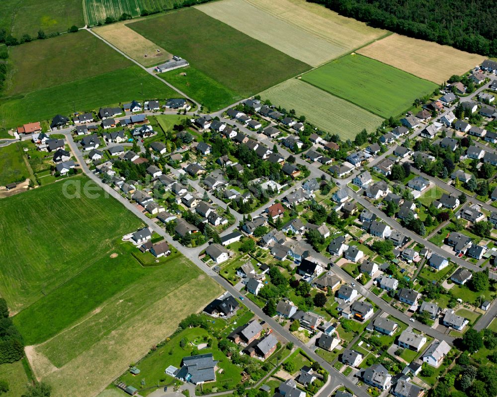 Aerial photograph Argenthal - Single-family residential area of settlement in Argenthal in the state Rhineland-Palatinate, Germany