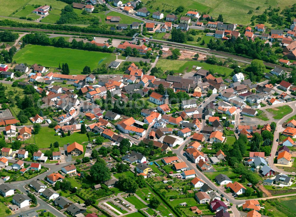 Aerial image Bahnhof Langmeil - Single-family residential area of settlement in Bahnhof Langmeil in the state Rhineland-Palatinate, Germany