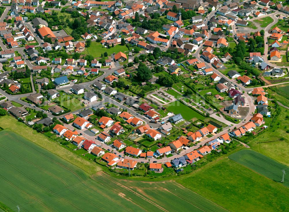 Aerial photograph Bahnhof Langmeil - Single-family residential area of settlement in Bahnhof Langmeil in the state Rhineland-Palatinate, Germany