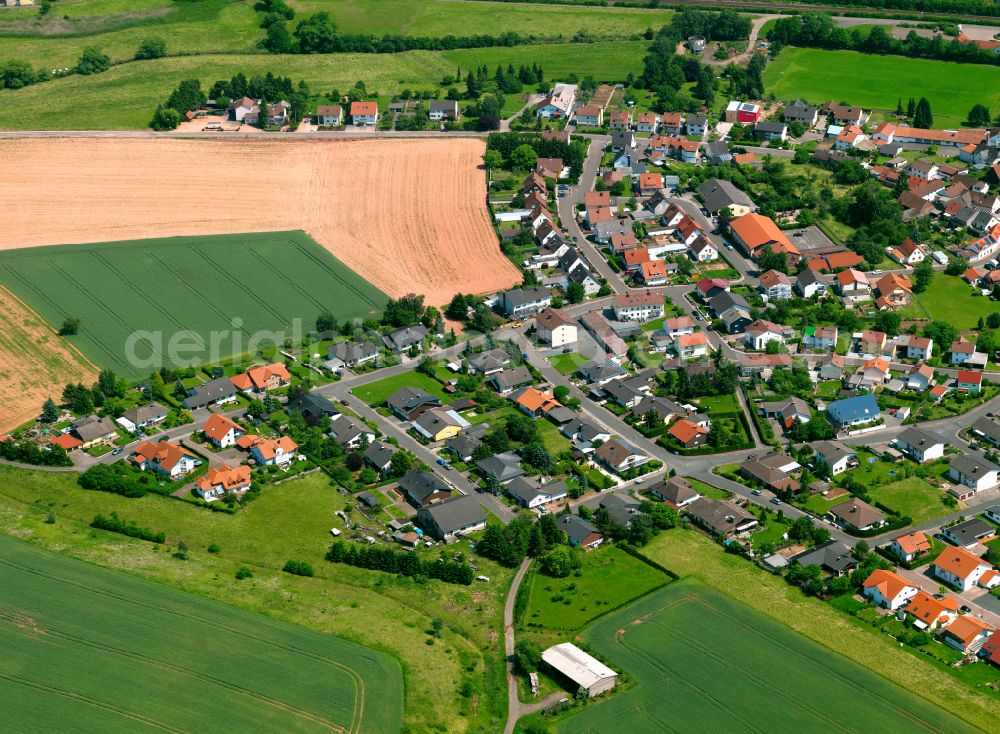 Bahnhof Langmeil from the bird's eye view: Single-family residential area of settlement in Bahnhof Langmeil in the state Rhineland-Palatinate, Germany