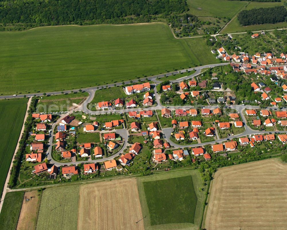 Benzingerode from the bird's eye view: Residential area of single-family settlement in Benzingerode in the state Saxony-Anhalt, Germany